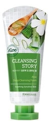 Пенка для умывания Алоэ WELCOS Cleansing Story Foam Cleansing Aloe