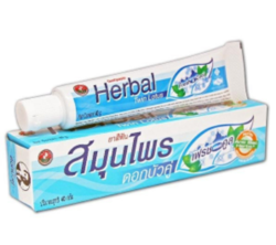 Зубная паста с травами Twin Lotos Herbal Fresh & Cool 40 гр